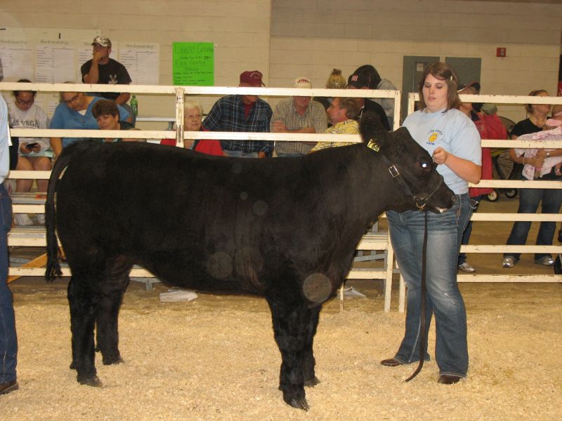 Johnson County Central Johnson County Central FFA takes top honors at