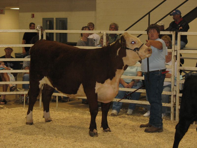 Johnson County Central Johnson County Central FFA takes top honors at