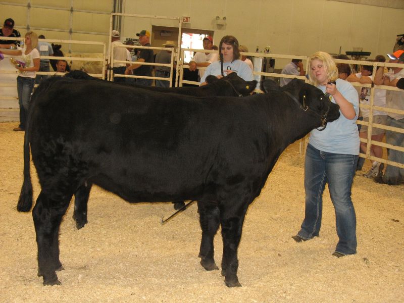 Johnson County Central Johnson County Central FFA takes top honors at